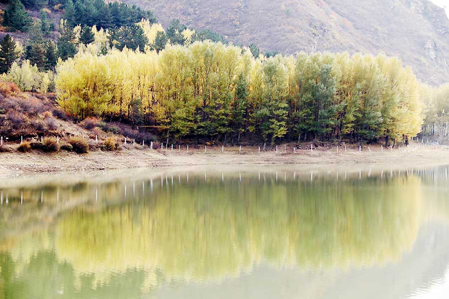 Late autumn scenery in Zhangjiankou, Hebei province