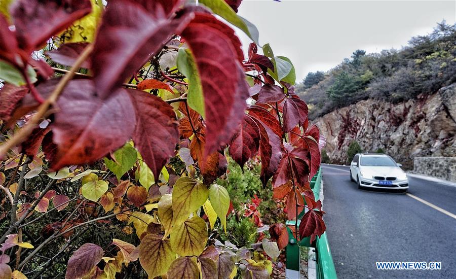 Autumn scenery of Yudu Mountain in Beijing