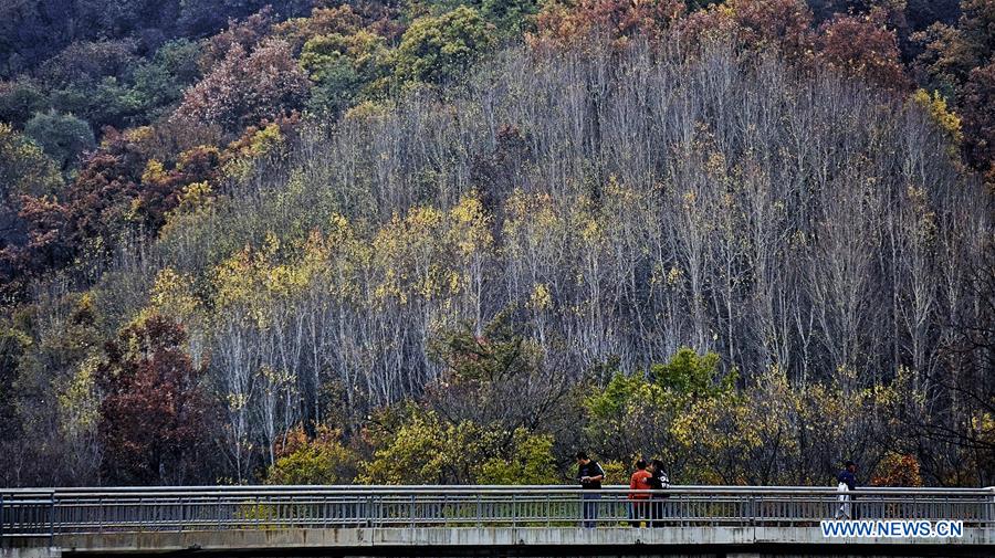 Autumn scenery of Yudu Mountain in Beijing