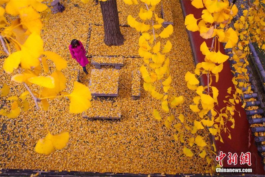 Late autumn scenery of Taishan Mountain in E China