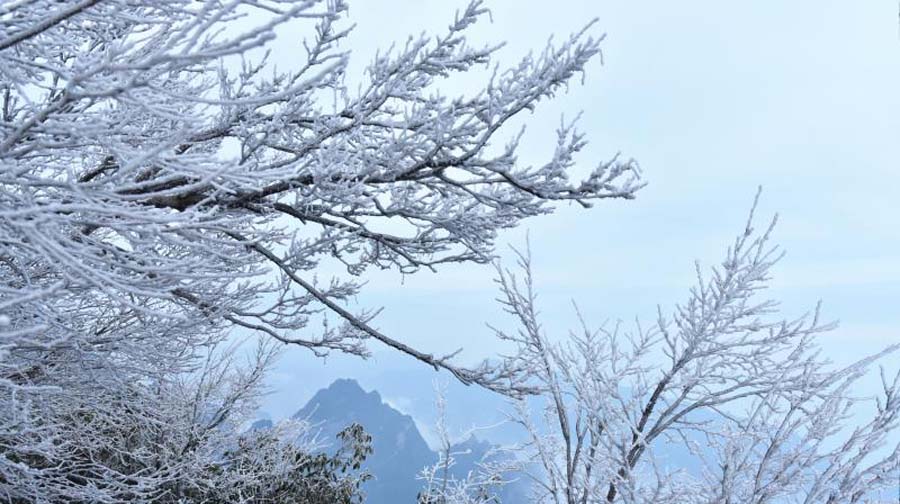 Rime turns Tianmen Mountain into winter wonderland
