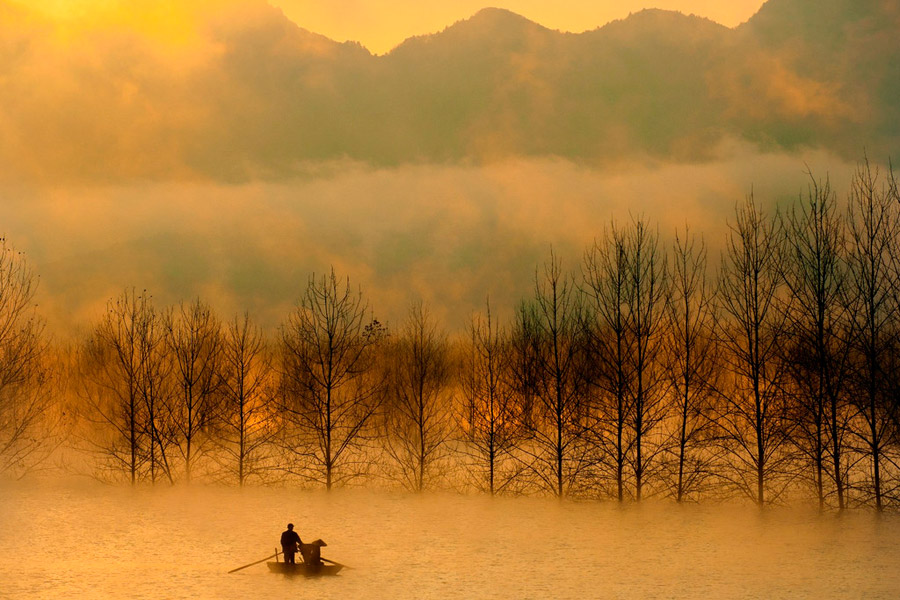Golden paradise scenery in Central China