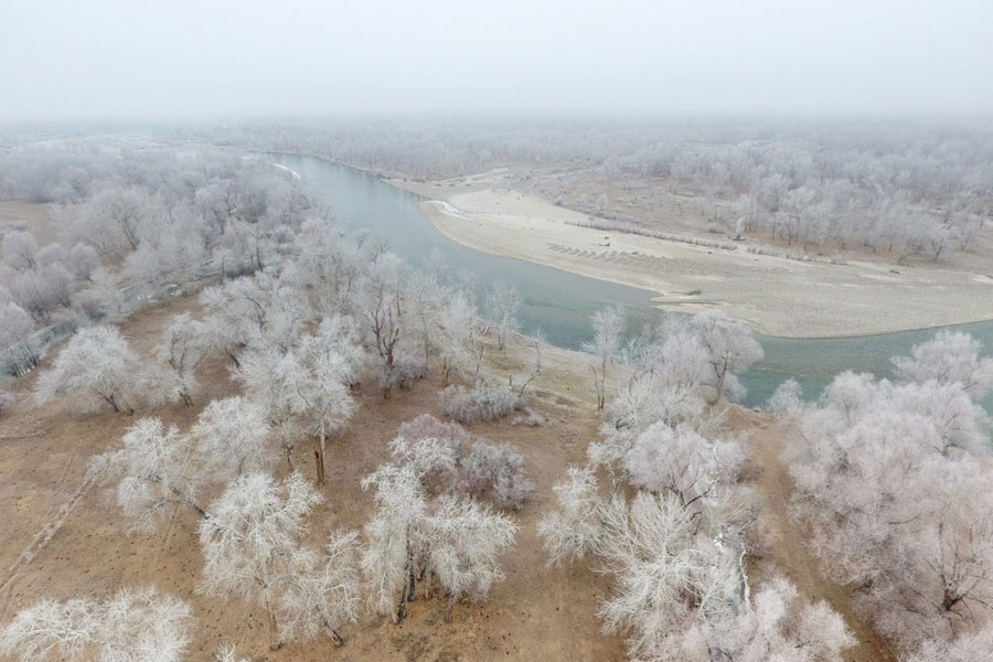 Aerial view of rime-covered trees in NW China