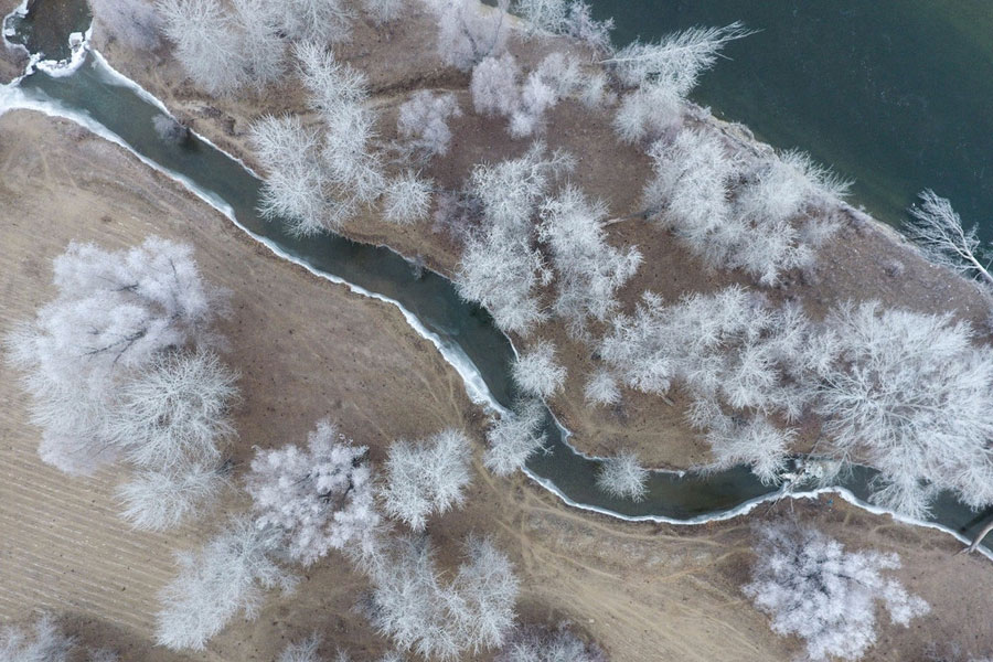 Aerial view of rime-covered trees in NW China