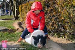 Trending across China
