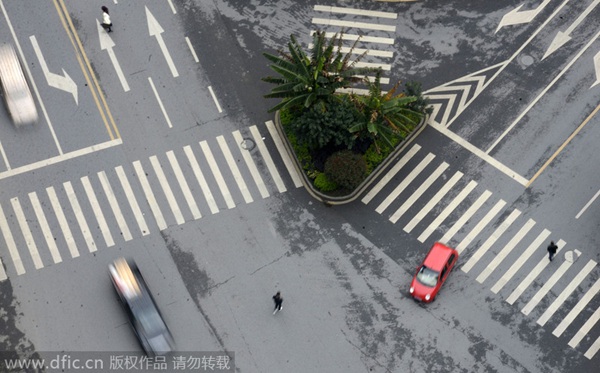 Bizarre zebra crossings strand pedestrians