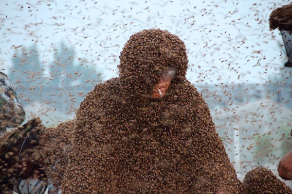 A coat of bees weighing 109.05 kg