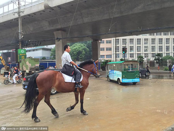 Man rides horse to work to avoid jam