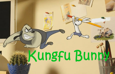 Kungfu Bunny