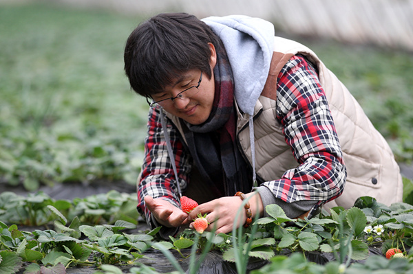 No Chemicals in his strawberries