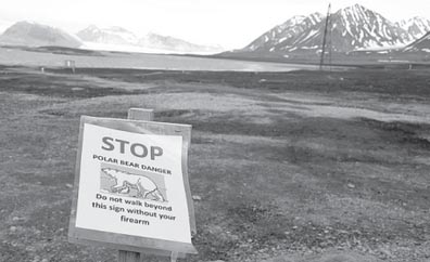 Cold fact: Bear neighbors of scientists are not so cuddly