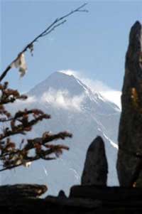 The head of the Nepal Mountaineering Association urged the government Saturday to take action against a sherpa who reportedly stripped on top of Mount Everest.