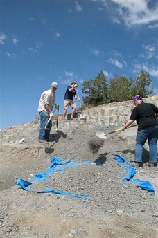 This handout photo provided by the journal Science shows excavating to remove the rock that overlies the fossils ? this rock is called the 'overburden, ' above the Hayden Quarry in New Mexico, (AP