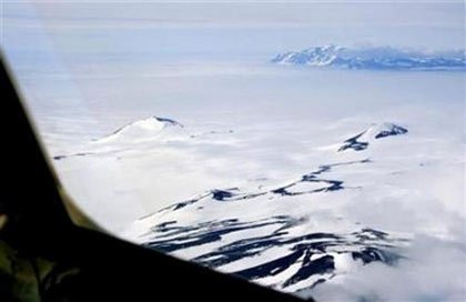 Exotic animals seen where Antarctic ice used to be