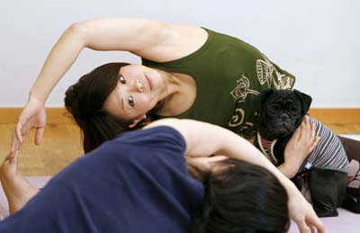 Dog Yoga in Japan