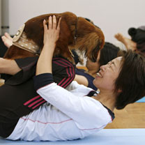 Dog Yoga in Japan