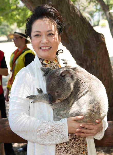 Koalas steal the show at G20 in Brisbane - World - Chinadaily.com.cn
