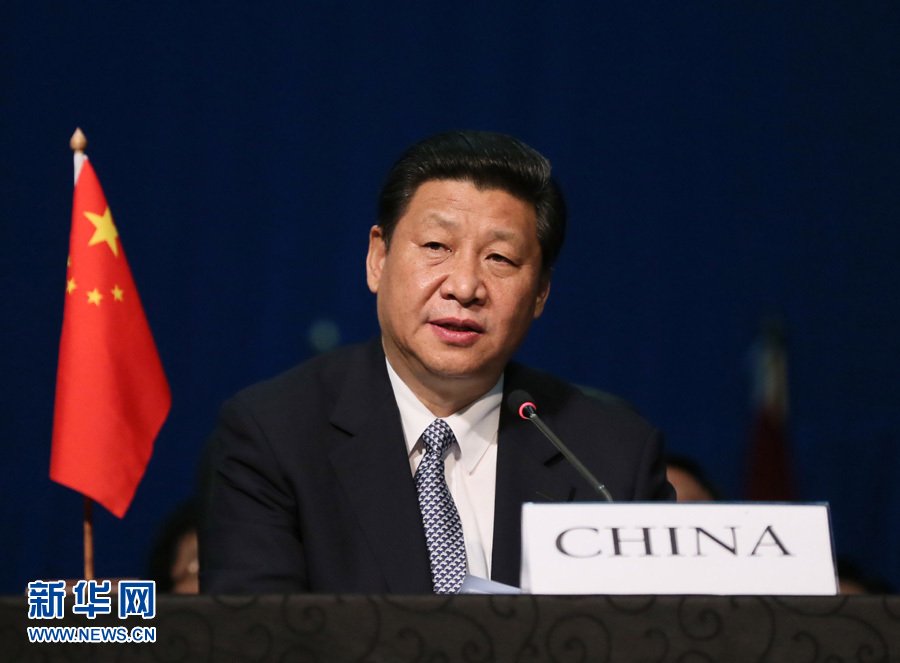 President Xi's ideas and suggestions about BRICS