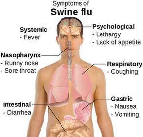Swine flu in humans