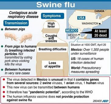 Factfile on the swine flu outbreak
