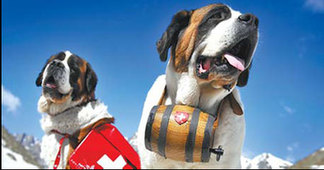 Swiss national dogs left out in cold