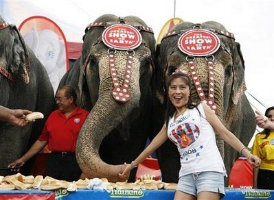 Elephants win eating contest against people