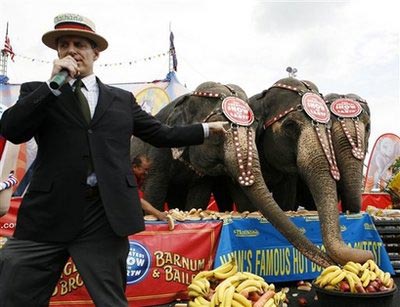 Elephants win eating contest against people