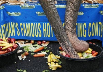 Elephants win eating contest against people
