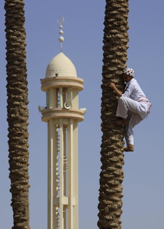 Climb for a date? Indeed in Riyadh