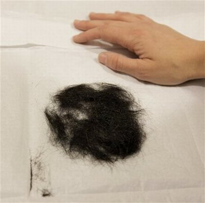 Elvis hair up for auction in Chicago