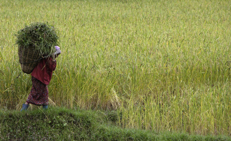 World Food Day: The world is hungry