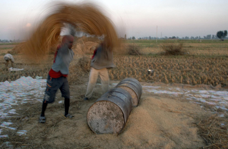 World Food Day: The world is hungry