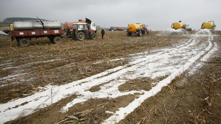 Czech farmers dump milk to protest price slump