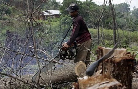 Forest-saving deal could lift climate summit hopes