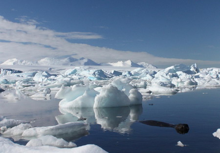 Copenhagen hopes sail towards Antarctic icebergs