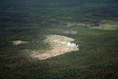 World's biggest beaver dam discovered in N. Canada