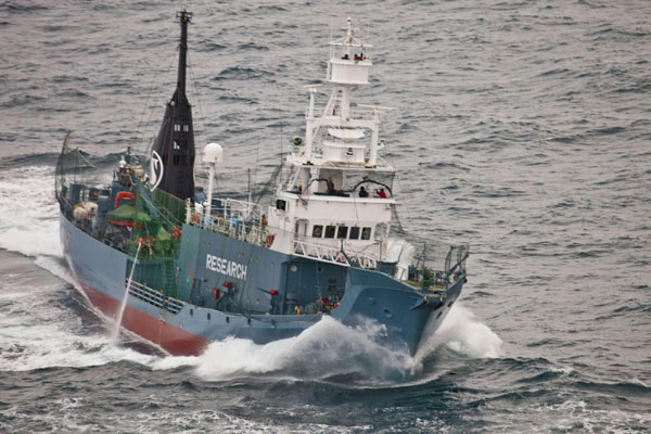 Australian PM calls for calm in Japanese whaling