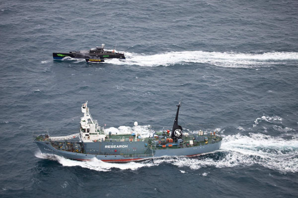 Australian PM calls for calm in Japanese whaling