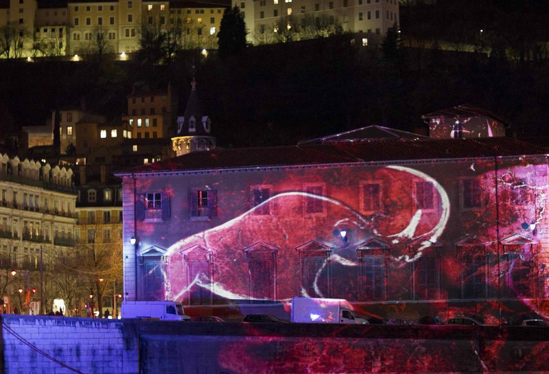 Festival of Lights to start in Lyon