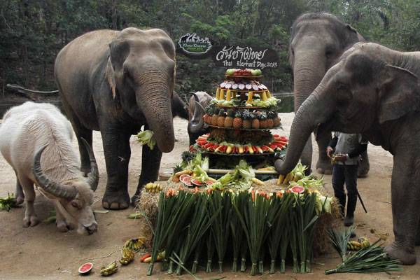Thailand's National Elephant Day