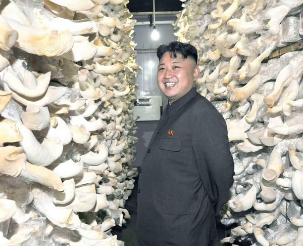 DPRK's Leader Kim Jong-un visits mushroom farm