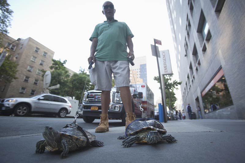 The world in photos: Sept 1-7