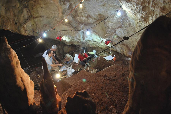 Prehistoric skull a key 'piece of the puzzle' in story of humanity
