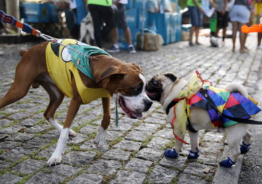 Samba sparkles in Brazil's Carnival season