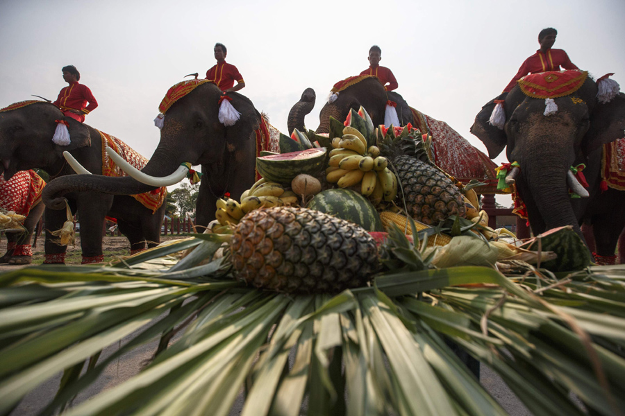 Thais pay homage to their national animal[1]