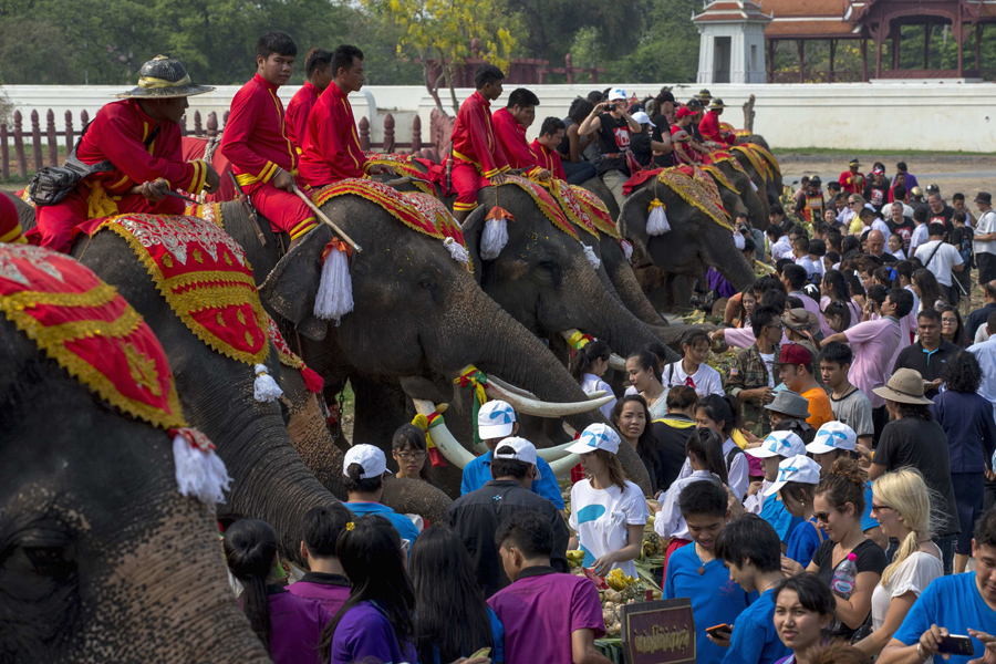 Thais pay homage to their national animal