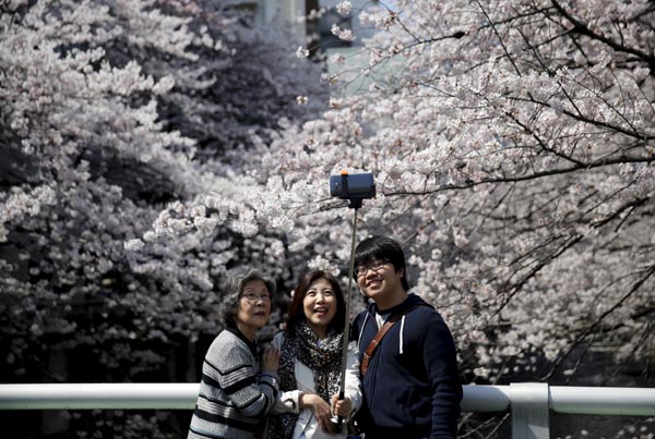 Chinese tourists flock to Japan during cherry blossom season