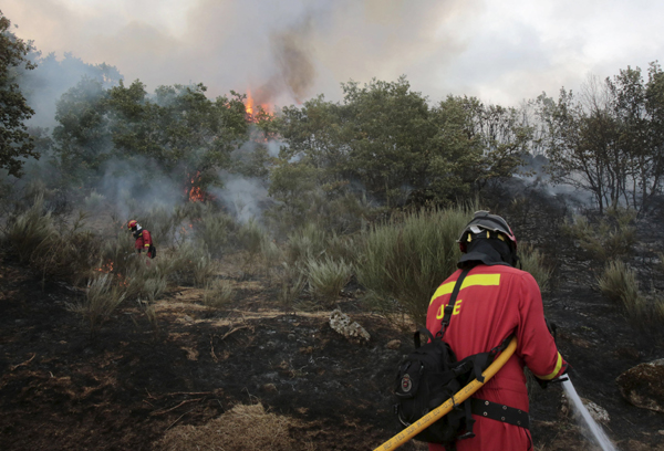 Wildfire destroys over 2,000 hectares in northwest Spain