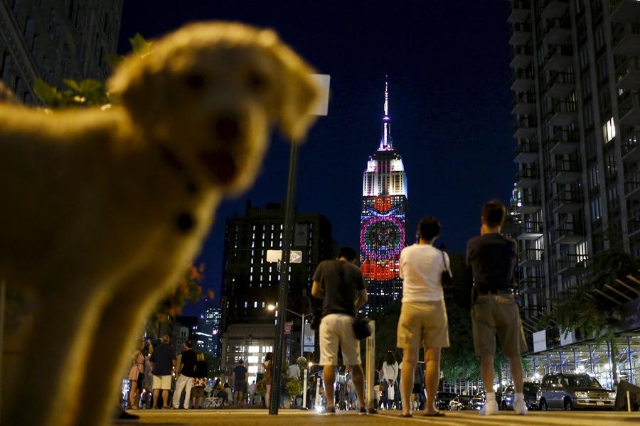 Reuters images of the year - Most popular on instagram