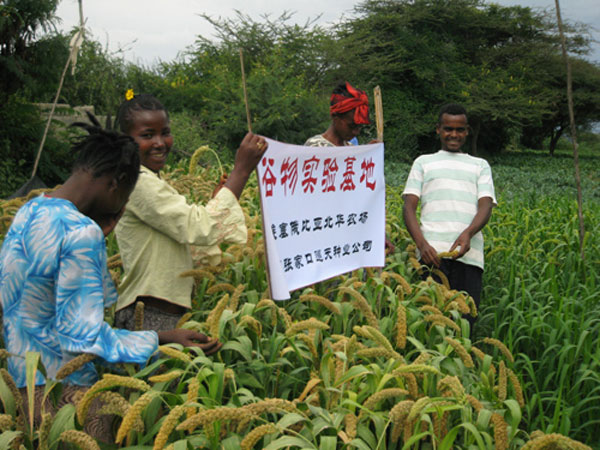 China helps African farmers relieve hunger